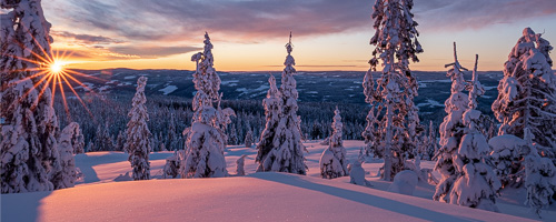 Tomtefoto Musdalsæter Høgsvea